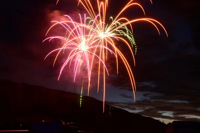 DSC_3341 (Large).JPG